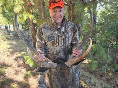 Walid Issa - Sambar Deer Success Story