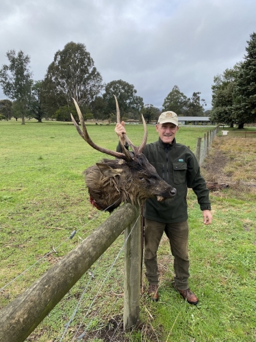 Warren Jackman - Sambar Deer Success Story